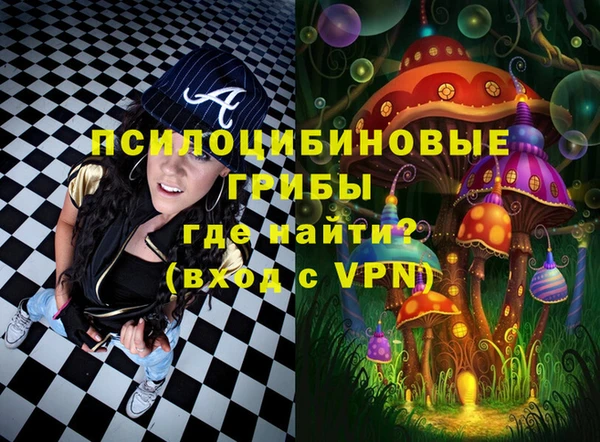 экстази Арсеньев