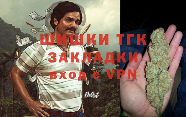 спиды Аркадак