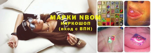 спиды Аркадак