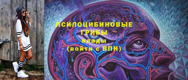 спиды Аркадак
